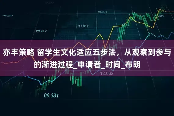 亦丰策略 留学生文化适应五步法，从观察到参与的渐进过程_申请者_时间_布朗
