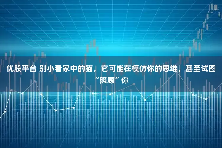 优股平台 别小看家中的猫，它可能在模仿你的思维，甚至试图“照顾”你